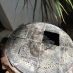 WhatsApp Image 2021-04-03 at 11.01.58 (3)