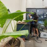 WhatsApp Image 2021-04-03 at 11.01.58 (6)